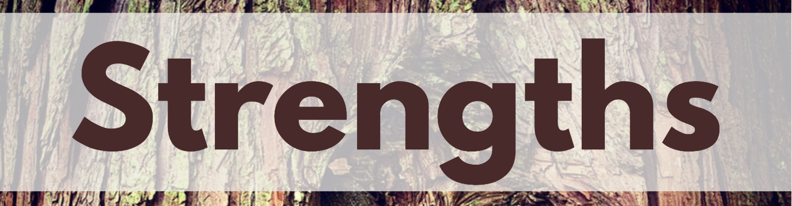 Strengths banner